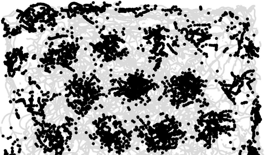Grid Cells nel cervello: cosa sono e perché sono fondamentali?