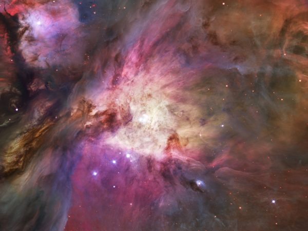 Nebulosa di Orione il cielo di Dicembre 2025