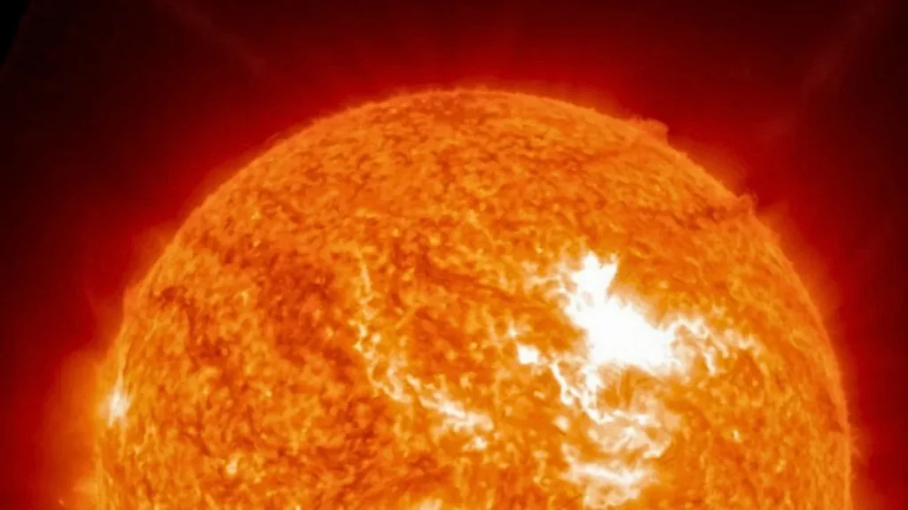sole