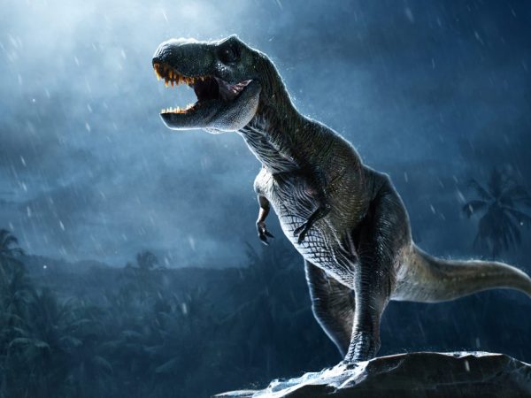 Dinosauri