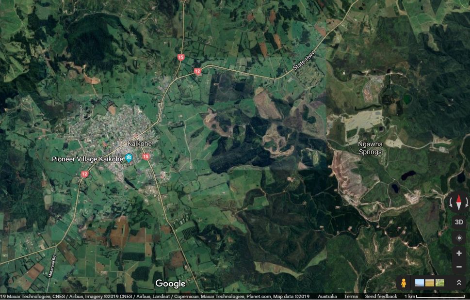 Inversione dei poli della Terra grazie ad un albero