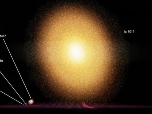 Universo IC 1101