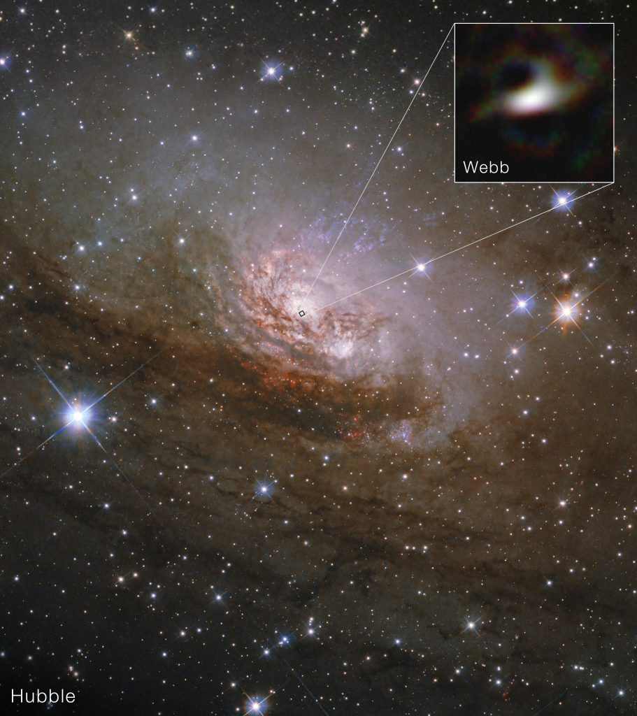 circinus galassia del compasso