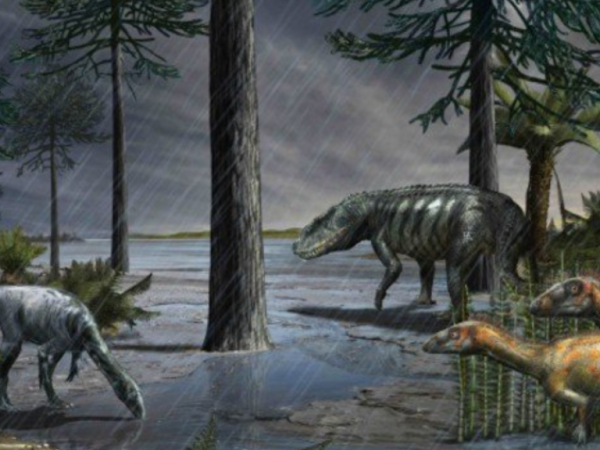 Estinzione Terra e dinosauri