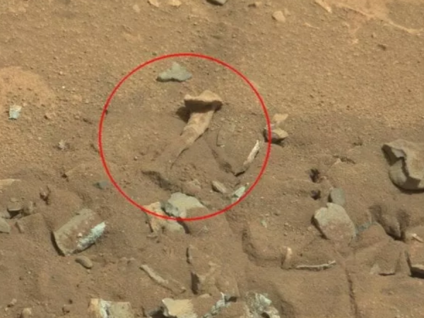 Marte vita pianeta rosso