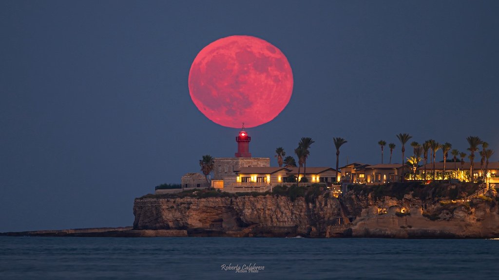 Pink Moon