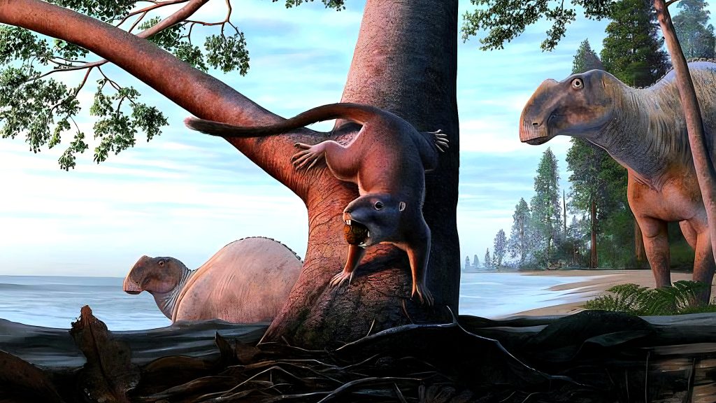 Questo piccolo mammifero è sopravvissuto all'estinzione dei dinosauri