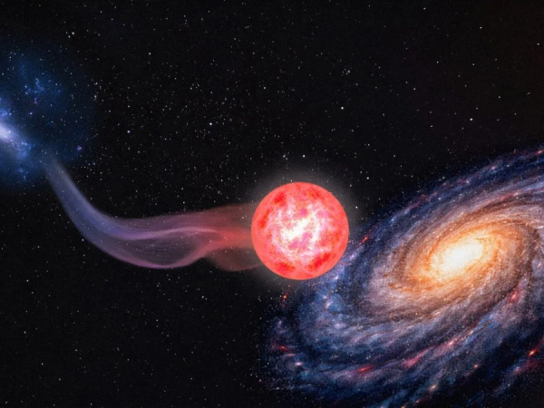 Stella incontaminata