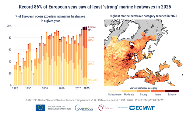 ​Il Mediterraneo bolle e il Nord fonde: i dati estremi del clima del 2025