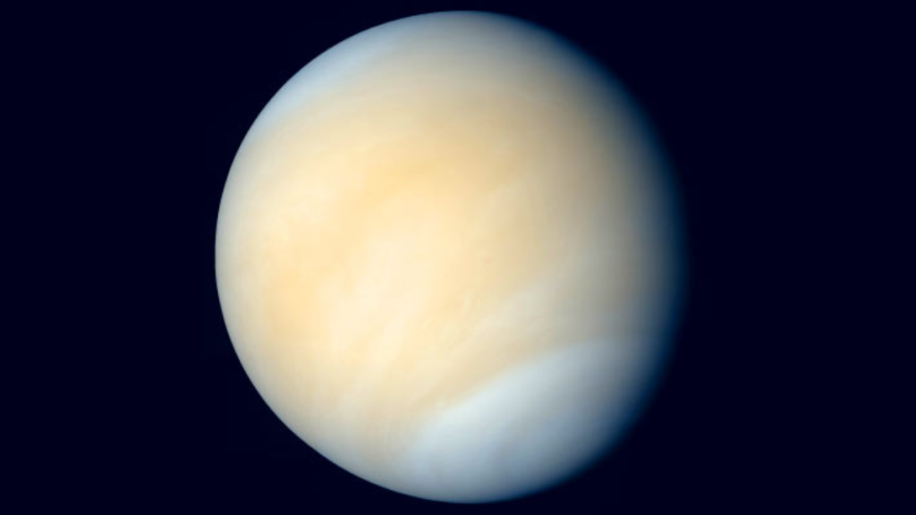 Venere