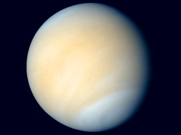 Venere