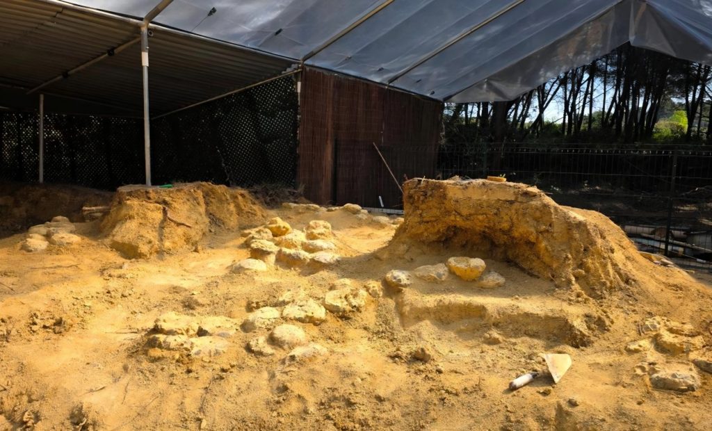 In Francia hanno trovato un nido con cento uova di dinosauro
