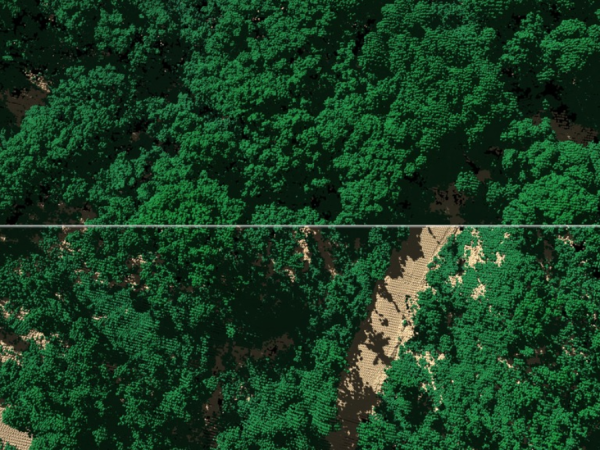Alberi