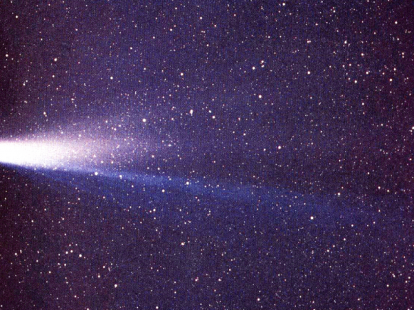 Cometa di Halley
