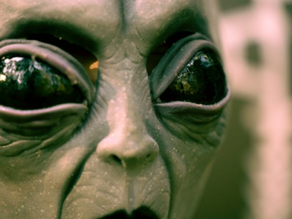 Alieni, Teoria della Foresta Oscura