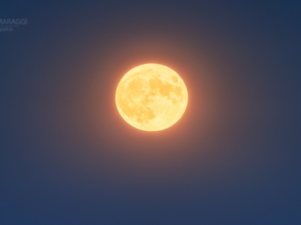 Luna piena