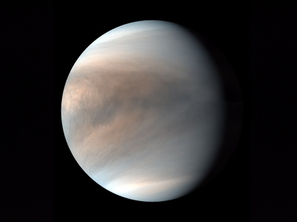 Venere