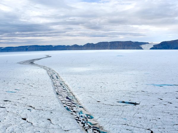 Ghiacciaio Petermann e iceberg
