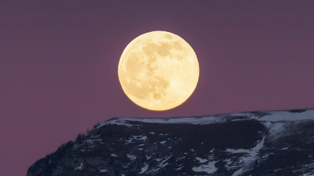 Luna piena, Harvest Moon