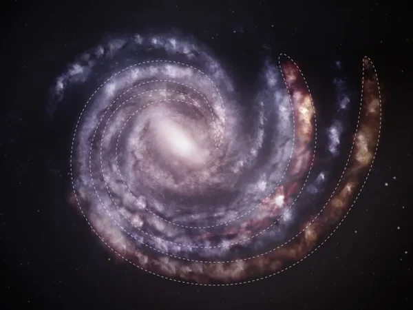 Via Lattea - bracci