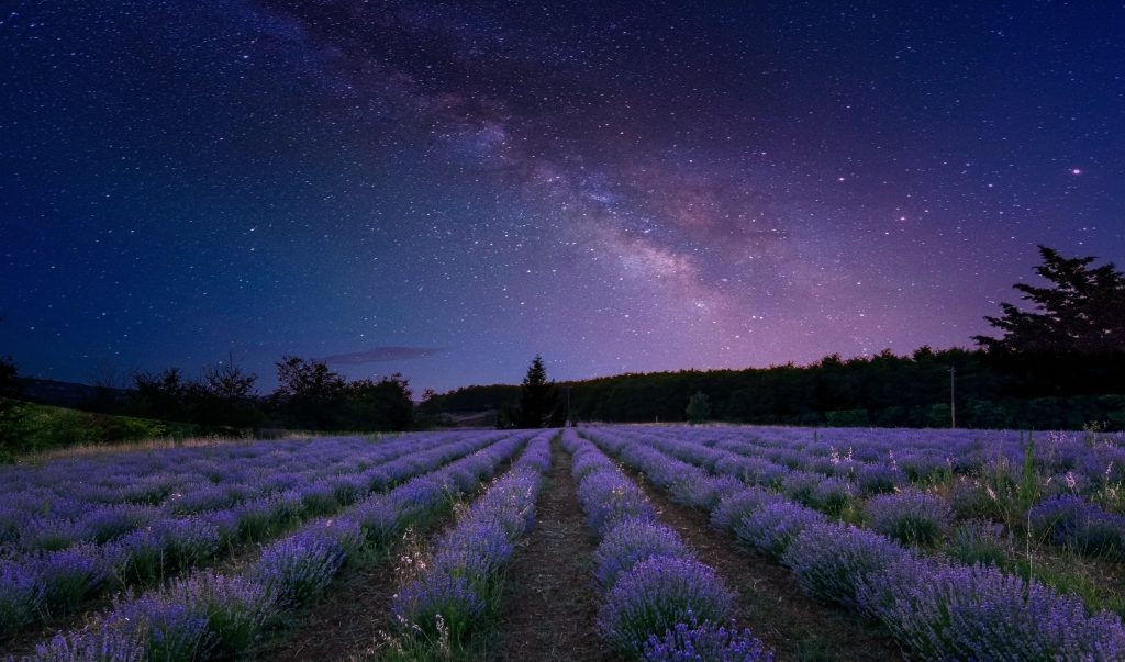 stelle (pixabay)
