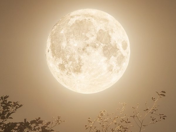 Luna piena